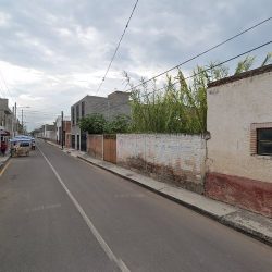 Coorec-orto