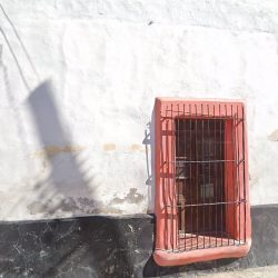 Cop (centro Odontológico De Parras)