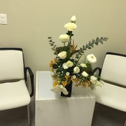 Cosmo Dental Center San Nicolás