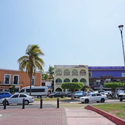 Cv Dental