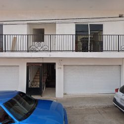 Dalia Guzmán Amaral. Cirujano Dentista.