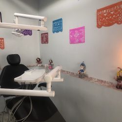 Dandelion Consultorio Dental