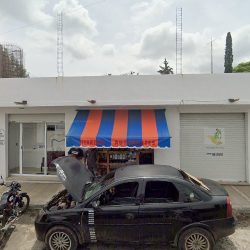 Dc Garci Dental Odontologia Integral