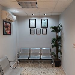 Dclinic Tecnologico