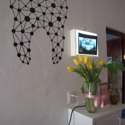 Ddi Diagnóstico Dental Integral
