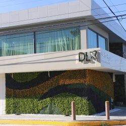 De Los Reyes Odontología Especializada