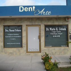 Dent Arte