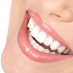 Dental Adame