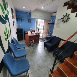 Dental Ajlj