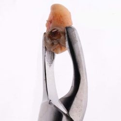 Dental Álvarez