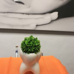 Dental AragÓn