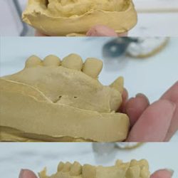 Dental Armando