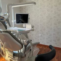 Dental Artistics