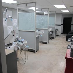 Dental Artistry