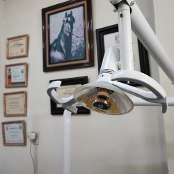 Dental Aurora - Odontología Integral
