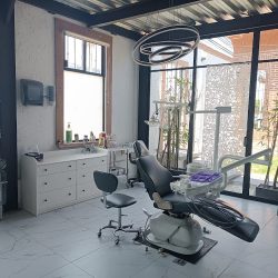 Dental Beauty