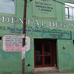 Dental Begonias
