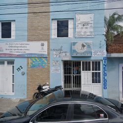 Dental Berrinchitos