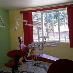 Dental Bien