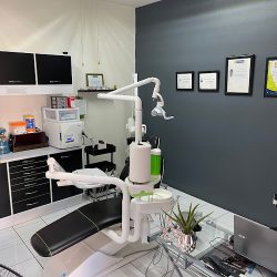 Dental Care - Ameca