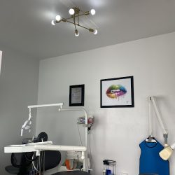 Dental Case