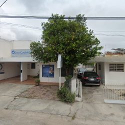 Dental Castillo Mid