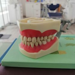 Dental Co Design