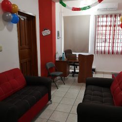 Dental Cruz Consultorio Odontológico