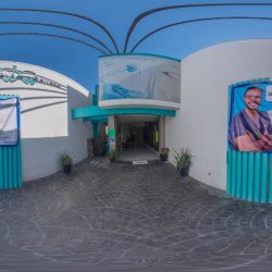 Dental Derreza
