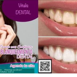 Dental Dra Cristal Cid