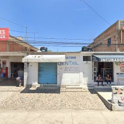 Dental El Puerto Ortodoncia