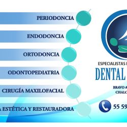 Dental Encinas