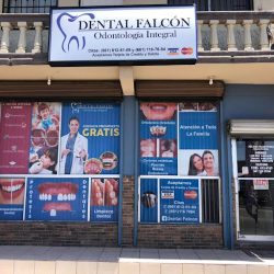 Dental Falcon