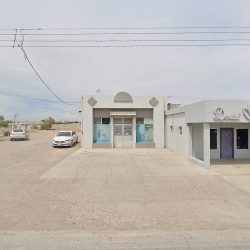 Dental Flores