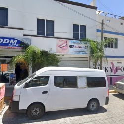 Dental Flores