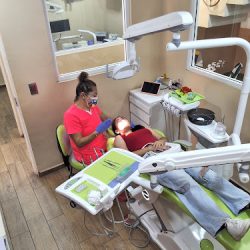 Dental Flores