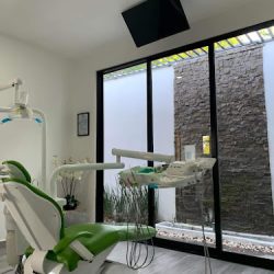Negocio Dental Gamiño Lzc