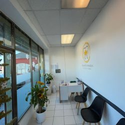Dental Girasoles