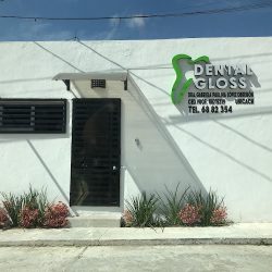 Dental Gloss