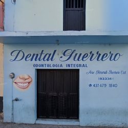 Dental Guerrero