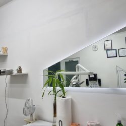 Dental House Xalapa