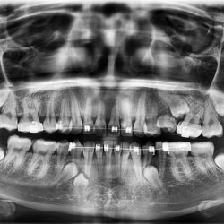 Dental Ivette