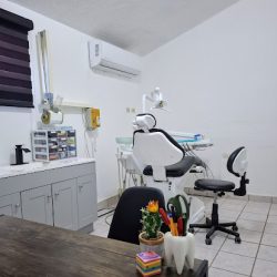 Dental Jade