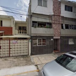Dental Japonesa