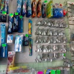 Dental Jardines De Morelos