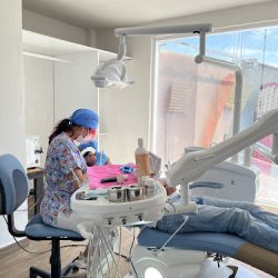 Dental M