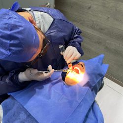 Dental Melten