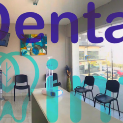 Dental Mint