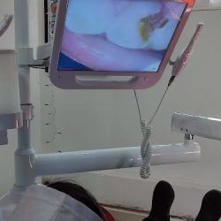 Dental Mtz