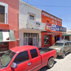 Dental Olivas